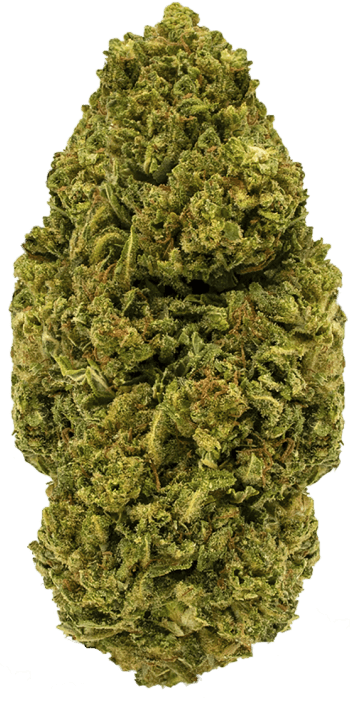 93f6788c009542c5ca44643d7b76b0050896cf67