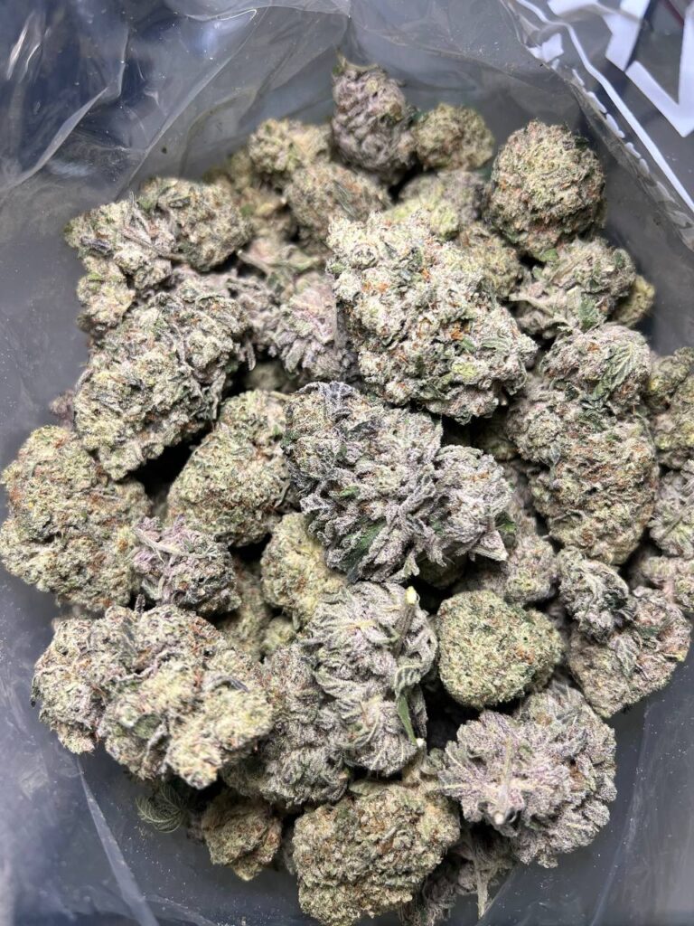 Donkey Kong - Image 2